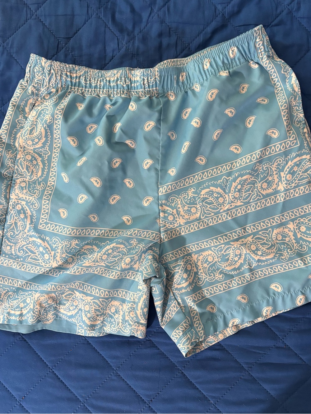 Men's Light Blue Paisley Swim/Board Shorts
